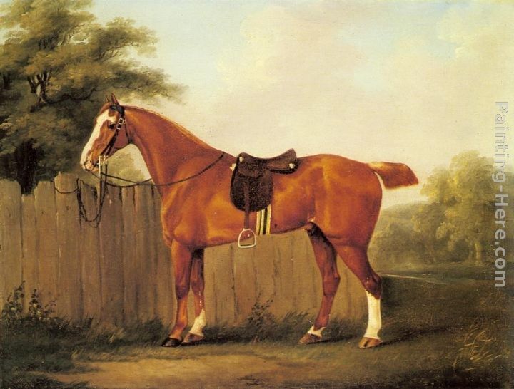 John Nost Sartorius A Chestnut Hunter Tethered to a Fence
